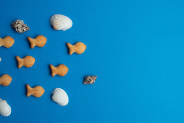 Composition of exotic sea shells and fish crackers on a blue background. Sea concept. Top View