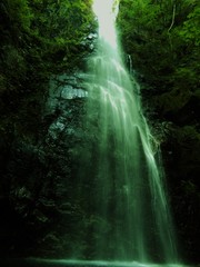 Fototapeta na wymiar 百尋の滝