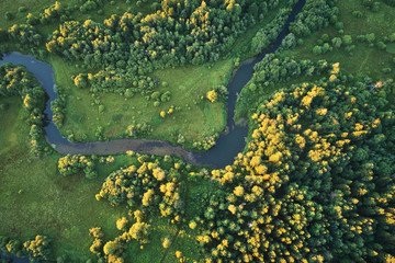 Forest with a winding river at sunset. Aerial photography with a drone.