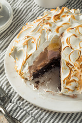 Homemade Toasted Baked Alaska