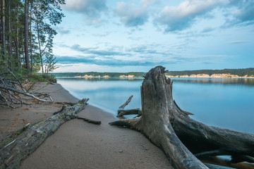 Sandy Bank of the river near a pine forest with a snag at dusk overlooking the other rocky shore.