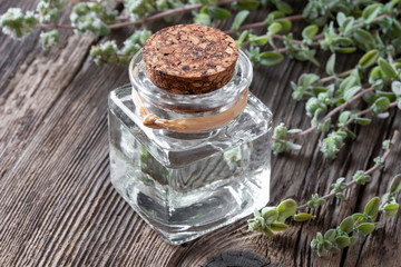 A bottle of marjoram essential oil with fresh marjoram