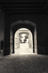 Fototapeta premium Arche
