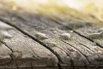 A very old piece of wood with drops of water. Wooden background - macro photo.