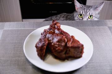 Cat looks at the man over table. In front of pet plate with a large piece meat. Cat close-up is afraid to eat food in the kitchen.