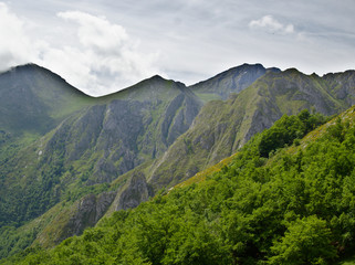 Fototapeta premium Mountains of the peaks of europe after a lush spring forest