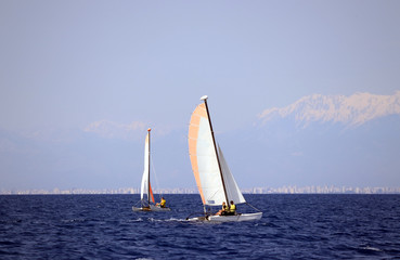 Obraz premium sailing on the sea in summer