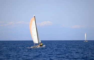 Obraz premium sailing on the sea in summer