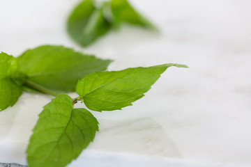 CBD Edibles and Capsules