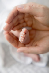 New life. Newborn child. Children and pregnancy. Baby and parents. Little leg in the hands of father and mother.