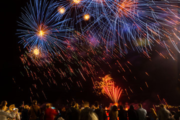 Holiday fireworks near the river on the black sky background