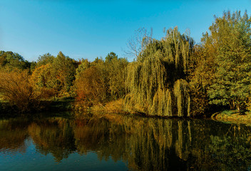 Fototapeta na wymiar Herbstsee