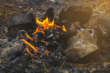 bonfire at sunset in the forest
