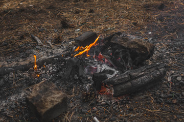 bonfire at sunset in the forest