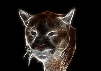 Fractal image of a wild mountain puma on a contrasting black background close-up © Evgeniya Fedorova