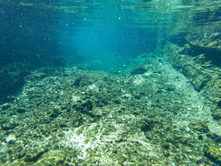 Fototapeta na wymiar Underwater view of Cenotes Turtle House Tulum in Yucatan, Mexico