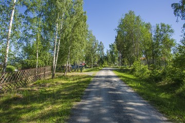 Fototapeta na wymiar Beautiful view of gravel road in a small village. Green trees, beautiful nature on blue sky background.
