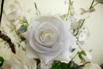 Flower White Decoration Love Rose