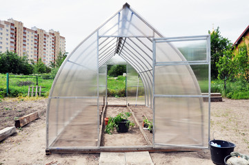 preparation and planting in a greenhouse seedlings of vegetables, tomatoes.