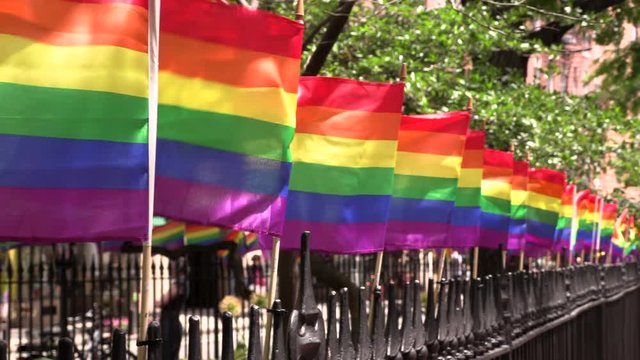 Many Rainbow Flag LGBT gay pride flags