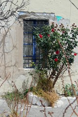 Fototapeta na wymiar greek village on santorini island