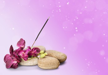 Zen basalt stones and flowers on white background
