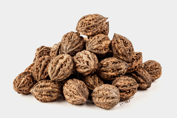 slide of natural hazelnuts in a shell on a white background