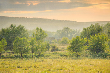 Summer rain in the evening. Green meadow with wild herbs. Nature landscape