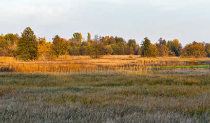 Fototapeta premium Ros river autumn landscape, Ukraine.