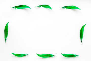 design for blog or desktop with colorful bird feathers on white background top view mockup frame