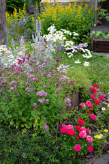 Beautiful blooming garden with different plants