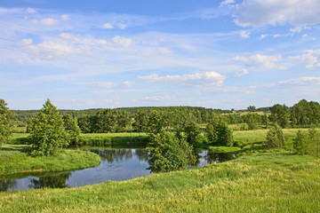 Fototapeta na wymiar Summer landscape with meadow and river on a clear Sunny day