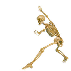 skeleton in a white background running doing a surprise pose