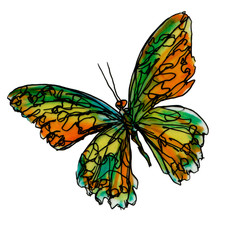 mariposa ilustración