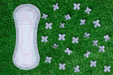 Women hygiene pad, sanitary napkin for menstrual period with a flowers. Menstruation concept on a...