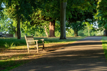 Fototapeta na wymiar An empty bench in Marble Hill park in Twickenham, West London