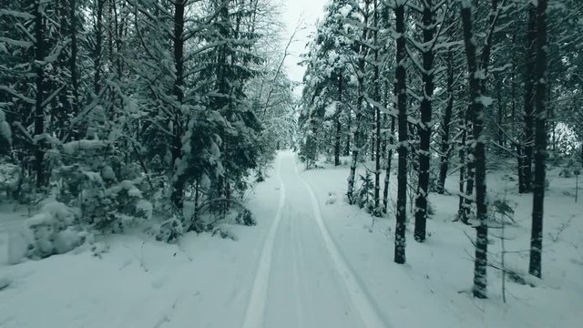 Wheel marsk in the snow.