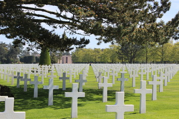 Rows of War Graves