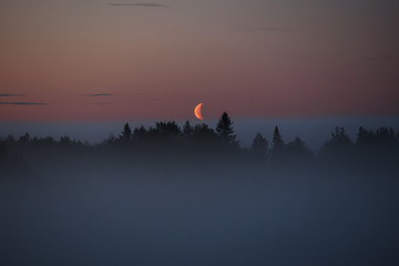 Midnight fog