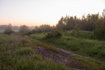 Obraz na płótnie Canvas Dawn in a field