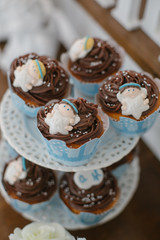 chocolate cupcake with whipped cream
