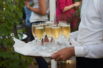  Waiter brings glasses of champagne on a tray on wedding event party, close-up