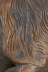 The bronze texture with lines on it.