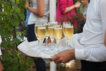  Waiter brings glasses of champagne on a tray on wedding event party, close-up