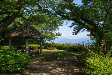 Fototapeta na wymiar Rest area in the shade of trees ,Shikoku,Japan