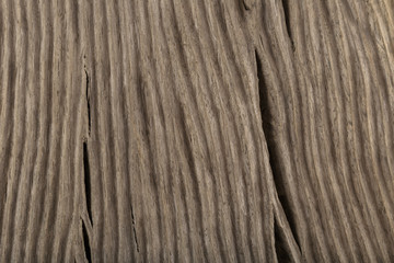 Wooden textured hand cracked background, old oak.
