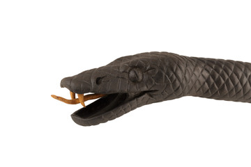 Naklejka premium Creeping wooden snake isolated on a white background.