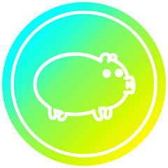 fat pig circular in cold gradient spectrum