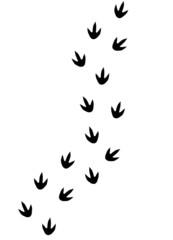 Vector flat black dinosaur foot prints isolated on white background © Sweta