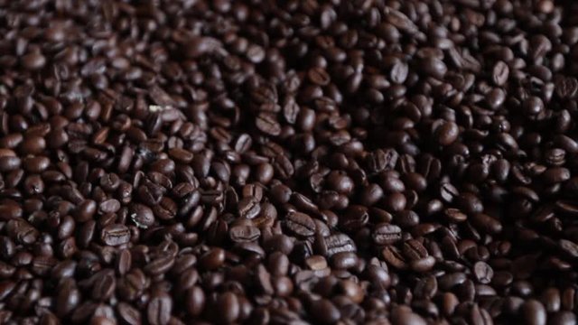 Slow move over coffee beans close up